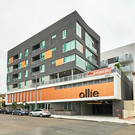 Luxury 2Bd 2Ba, Brand New/Pets/Close To Everything/Boho+Cozy Vibes